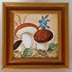 Funghi